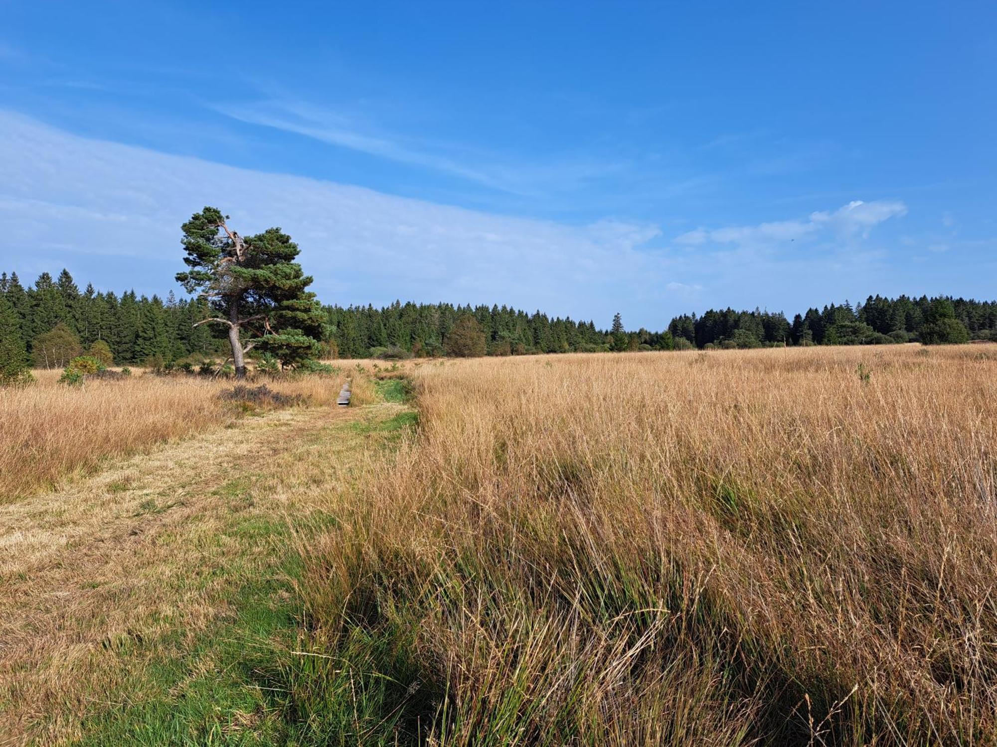 Androla Am Vennbahnradweg
