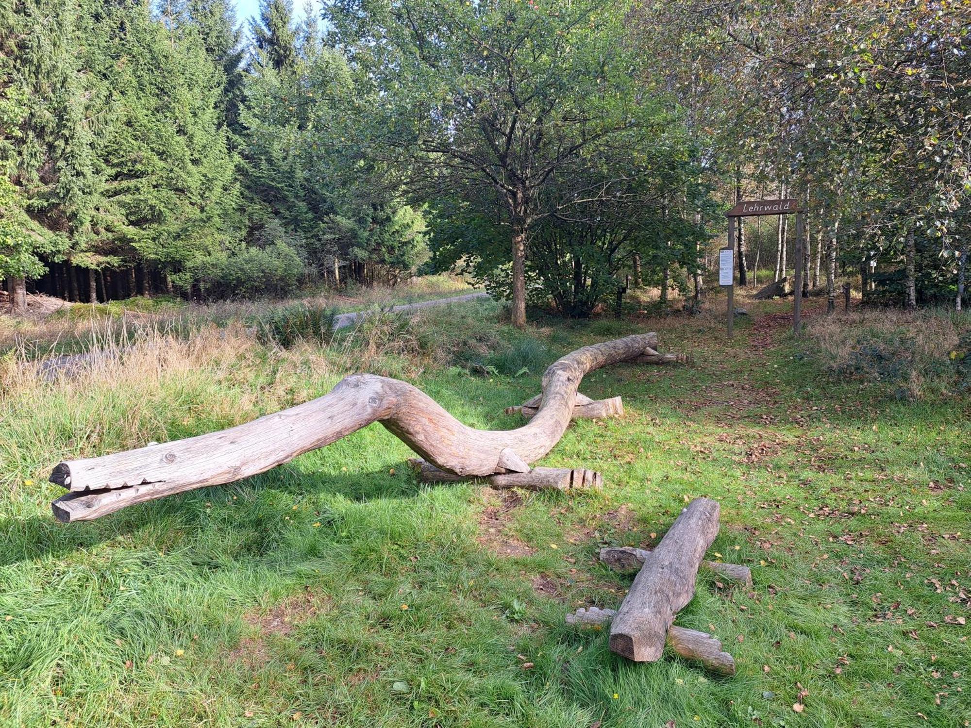 Androla Am Vennbahnradweg * Monschau